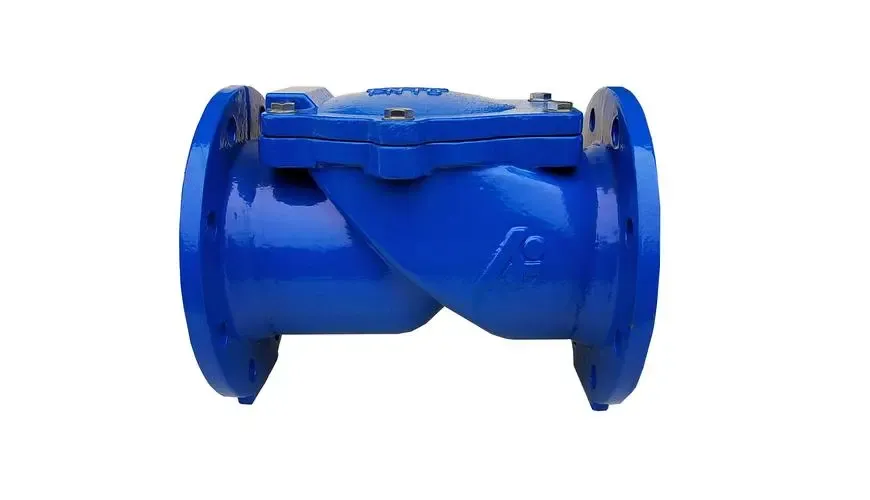 Check valve Assy жөнүндө көбүрөөк маалымат